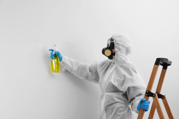 Best Environmental Consulting for Mold Prevention  in USA